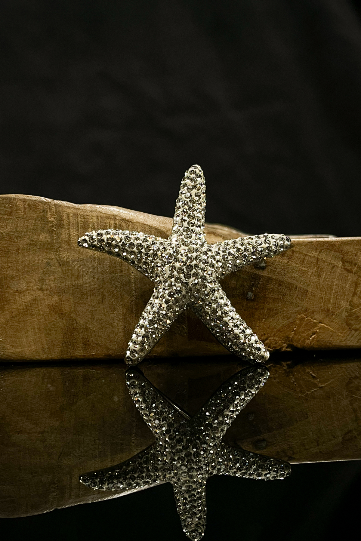 Taşlı Deniz Yıldızı Broş